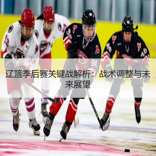 辽篮季后赛关键战解析：战术调整与未来展望